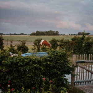 IMG_0329